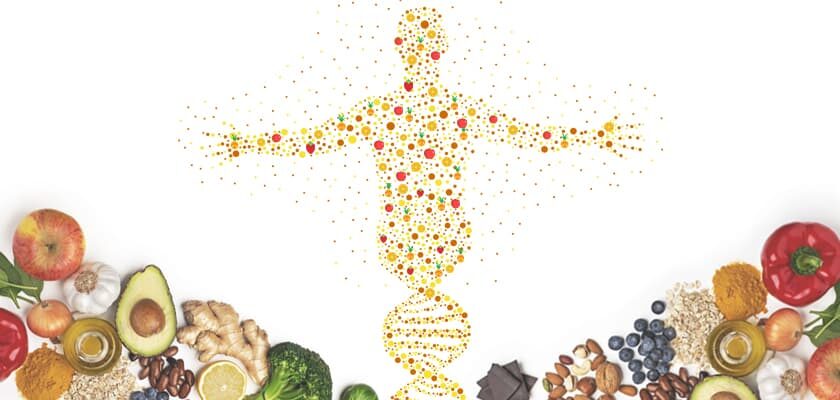 Teste de conhecimentos gerais em nutrição