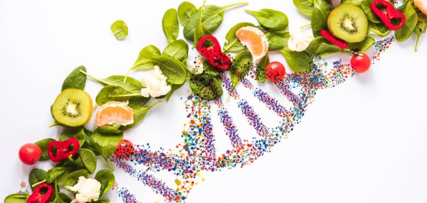 o que é dieta do DNA?