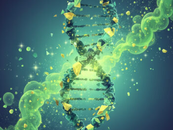 Genética da Metilação e Detoxificação Hepática